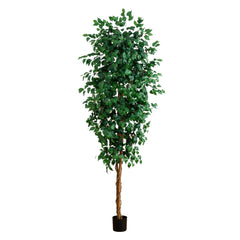 8’ Ficus Tree w/1512 Lvs