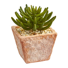 9” Succulent Artificial Plant in Terra Cotta Planter (Set of 2)
