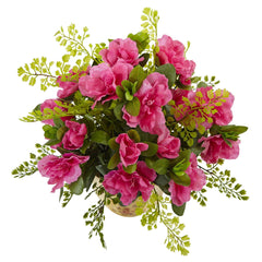 Azalea and Maiden Hair with Planter
