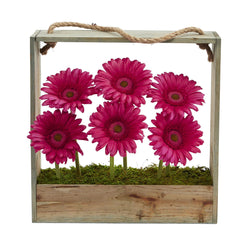 Gerber Daisy Garden in Hanging Frame