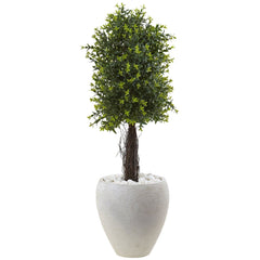 Ixora Topiary with White Planter UV Resistant (Indoor/Outdoor)