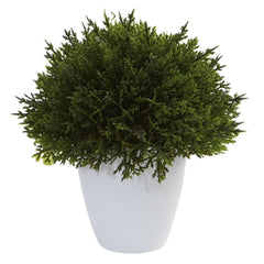 Mixed Cedar Topiary Collection (Set of 3)