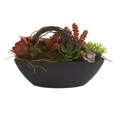 Mixed Succulent w/Oval Black Container