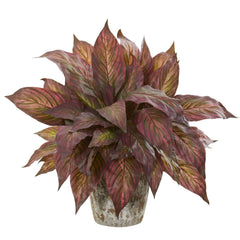 Musa Leaf Artificial Plant in Weathered Oak Planter