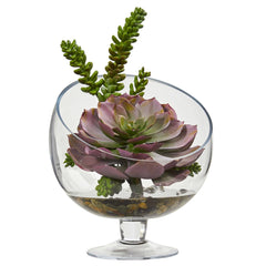 Succulent Artificial Plant in Pedestal Vase