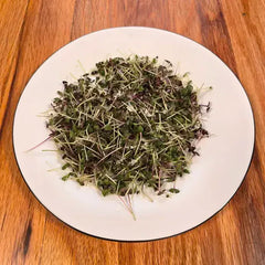 Basil (Bicolor)