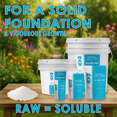 RAW Calcium/Mag | 15% Calcium + 3% Magnesium | Water-Soluble Supplement