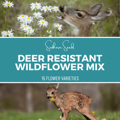 Deer Resistant Wildflower Seed Mix (15 Varieties) – 1,000 Seeds