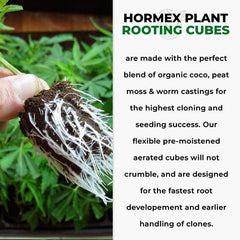 Hormex Rooting Cubes - Grow Plants from Cuttings or Start from Seed - Peat Moss & Coco Plugs - For Strong Roots & Healthy Plants - Ideal for Home & Professional Growers