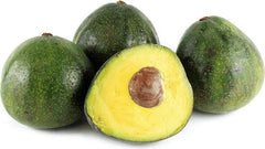Nabal Avocado Tree - Grafted - 3 to 4 Feet Tall - Bigger Trunk - Persea americana