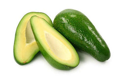 Fuerte Avocado Tree - Grafted 3-4 Feet Tall - Strong Trunk - Persea americana
