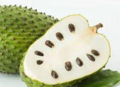Organic Soursop Plant in Half Gallon Pot - Fast Growing Guanabana Tree (Annona muricata) 6-10 Inch Height