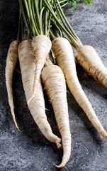 100+ Parsnip Seeds for Planting | Heirloom Pastinaca sativa | Cool Season Root Vegetable for Garden Beds, Raised Rows, or Containers