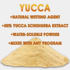 Yucca Powder