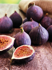 6 Violette de Bordeaux Fig Cuttings for Propagation Sweet Purple-Black Fruit