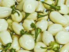 White Habanero Pepper Seeds | Heirloom, Non-GMO | 3 ft Tall Plants | 250,000-500,000 Scoville | | 100 Days to Maturity