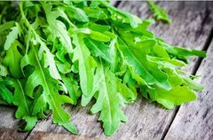 Roquette Arugula Seeds - Heirloom, Non-GMO - 40 Days to Maturity - Nutty & Peppery Flavor - USDA Zones 3-9 - Perfect for Salads & Stir-Fries