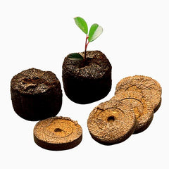 Jiffy Peat Pellet Singles
