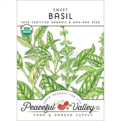 Sweet Basil Seeds (Organic)