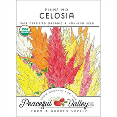Plume Celosia Mix Seeds (Organic)
