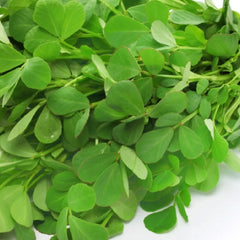 Fenugreek Seeds 4 oz Organic Trigonella foenum-graecum Culinary Herb