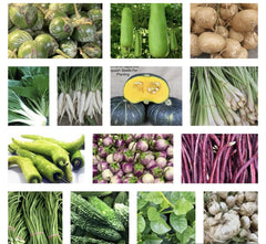 Asian Vegetable Seeds Variety - 20 Pack Non-GMO Packets for Planting - Ideal for Home Gardens and Urban Farming