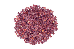 Marshmallow Seeds - 50+ Seeds - Althaea officinalis - Easy to Grow, Flowering Plant, Hummingbird Friendly, Therapeutic Benefits