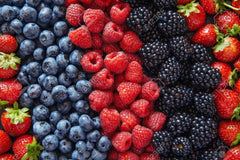 Berry Seed Set - Strawberry, Blueberry, Blackberry, Raspberry - Gift Package - Perfect for Home Gardening
