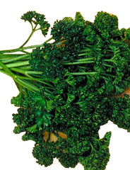 Forest Green Parsley Seeds 300+ Non-GMO Culinary Herb Petroselinum crispum
