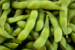 Be-Sweet 292 Edible Soybean Seeds - Fresh Soybean Seed - Glycine max - Non-GMO, Organic, FREE Shipping