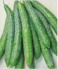 Dragon Suhyo Cross Cucumber Seeds - 25+ Pack - Heirloom Variety - Cucumis sativus - USA Grown