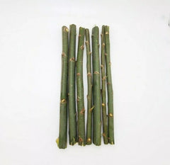 Austree Hybrid Willow Tree Cuttings - 20 Fast Growing, Aussie Variety for Direct Planting - Salix x sepulcralis