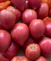 Heirloom Tomato Seeds - Coure di Bue Oxheart - Non-GMO - 50 Seeds - Indeterminate Variety
