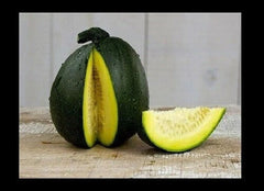 Tatume Summer Squash Seeds - 20 Heirloom Calabash Mexican Zucchini Seeds - Organic Vegetable Garden Plant