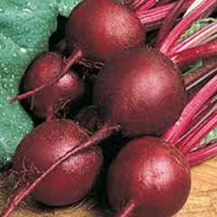 Ruby Queen Beet Seeds, Heirloom, 100+ Non-GMO Seeds, Dark Red Sweet Beet (Beta vulgaris)