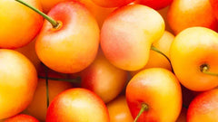 Rainier Cherry Seeds - 10+ Pack - Sweet Cherry Variety - Prunus avium - Garden Planting, USA