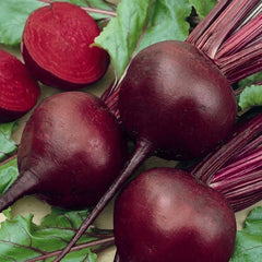 Detroit Dark Red Beet Seeds - 50+ Heirloom Non-GMO Organic - Beta vulgaris - USA Free Shipping