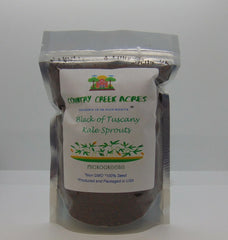 Black of Tuscany Kale Seeds - Heirloom Italian Variety - Brassica oleracea var. sabellica