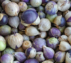 Purple Tomatillo Seeds - 50+ Count - Garden Vegetable for Salsa - Physalis ixocarpa - Mexican Culinary Use
