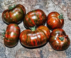 Chocolate Stripe Tomato Seeds - 30+ Heirloom Organic Non-GMO - Rare Variety for Home Gardening - Solanum lycopersicum