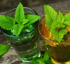 Lemon Balm Seeds 500 Seeds Herbal Plant Melissa officinalis Organic Gardening