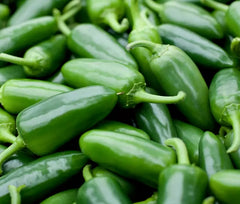 Jalapeno Pepper Seeds 50+ Spicy Mexican Culinary Salsa Capsicum annuum