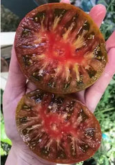 Black Brandywine Tomato Seeds - 120+ Heirloom Organic NON-GMO - Solanum lycopersicum
