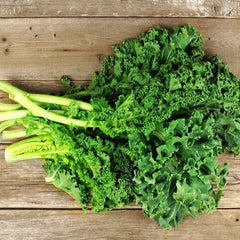 Dwarf Siberian Kale Seeds - 1,000 Non-GMO Heirloom Seeds for Gardening - Brassica napus var. pabularia