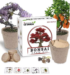 Bonsai Tree Kit - All-in-One Grow Kit for 5 Species - Indoor Gardening - Bonsai Trees (Ficus, Juniper, etc.)
