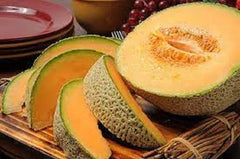 Premium Hearts of Gold Cantaloupe Seeds - Fresh Heirloom Variety - Sweet Flavor - Cucumis melo