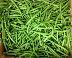 Kentucky Wonder Bush Green Bean Seeds - Fresh Seeds for Home Garden - Phaseolus vulgaris - Non-GMO, Heirloom Variety