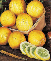 Lemon Cucumber Seeds - 100+ Heirloom Organic Non-GMO - Rare Cucumis sativus