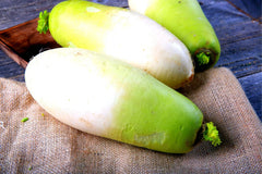 Korean Radish Seeds - 100+ Seeds - Rare Garden Vegetable - Raphanus sativus