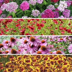 Wildflower Seed Mix 200 Variety Organic USA Seeds - Shade Tolerant Native Plants